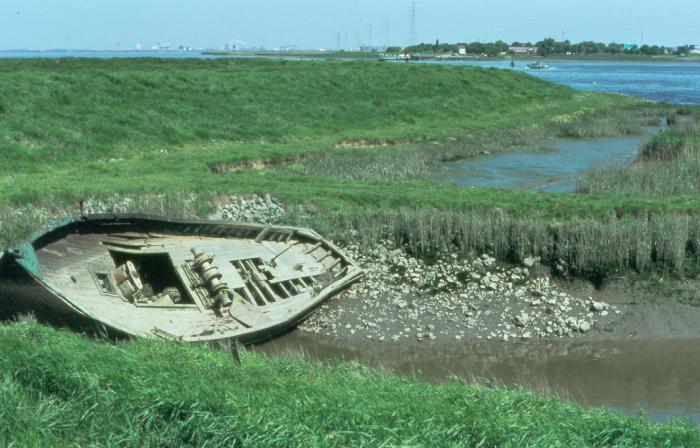 Wrak nabij Fort Liefkenshoek