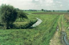 Polderlandschap