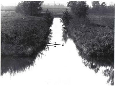 Zicht op natuurgebied Het Molsbroek