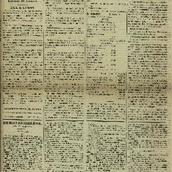 Gazette van Lokeren 19/01/1873