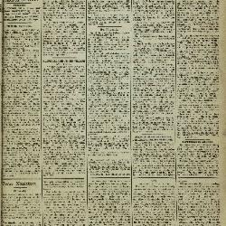 Gazette van Lokeren 11/11/1883
