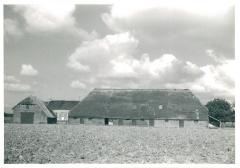 Ketelhof in Ketenispolder - hoeve Remi Bogaert