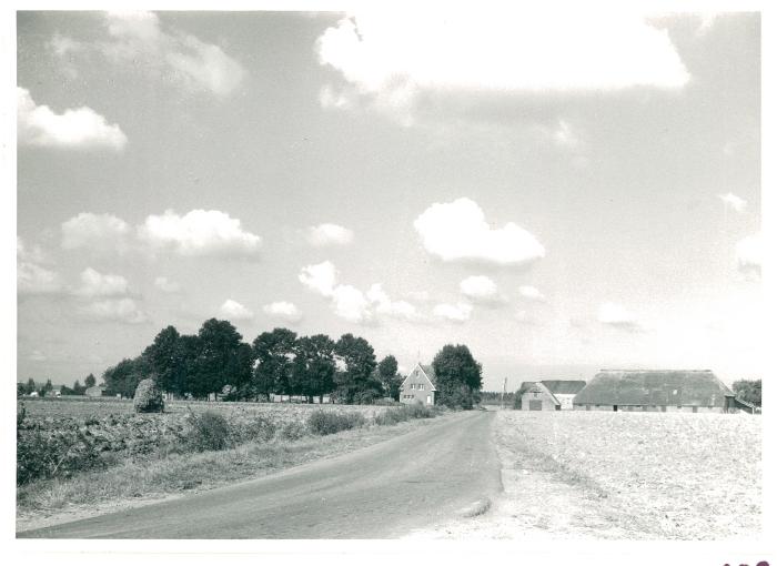 Ketelhof in Ketenispolder - hoeve Remi Bogaert