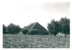 Hoeve Alfons De Caluwé - Molenstraat