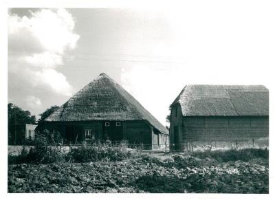 Ketelhof in Ketenispolder - hoeve Remi Bogaert