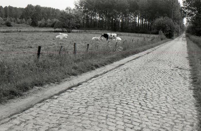 Lange Gaanweg 1990-2012  1 