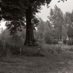 Lange Gaanweg 1990-2012 5