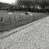 Lange Gaanweg 1990-2012  1 