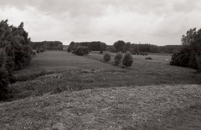 Scheldedijk Kruibeke 1990-2012 4 