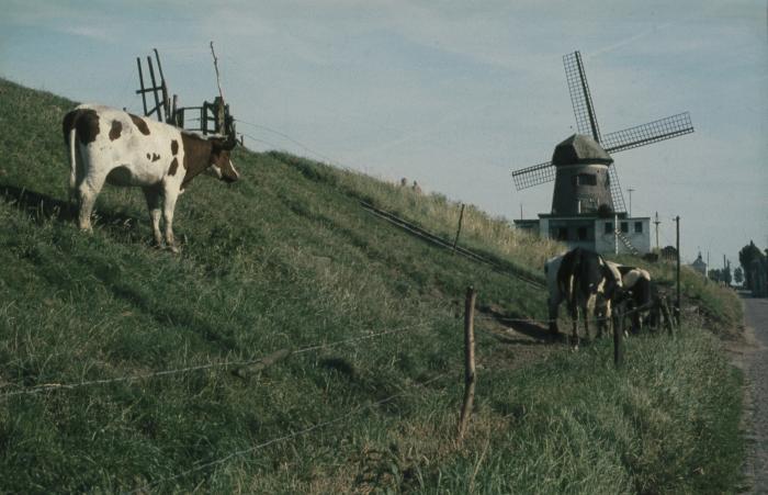 De molen van Doel