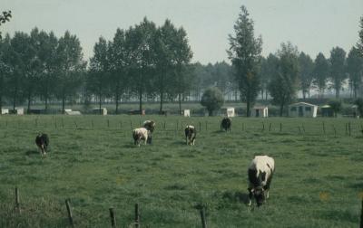 Landschap in Meerdonk