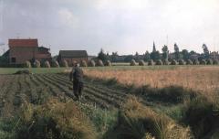 Bewerken van een akker in Doel