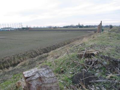 Dijk en polder