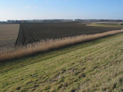 Dijk en polder