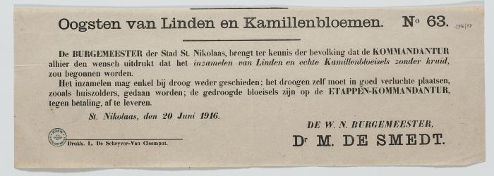 1916- Oogsten van Linden en Kamillenbloemen