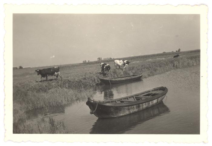 Bootjes aan het Scheldeschor