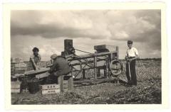 Aardappelsorteerder in de polder