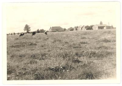 Hoeve Deckers op de Oude Dijk te Kallo