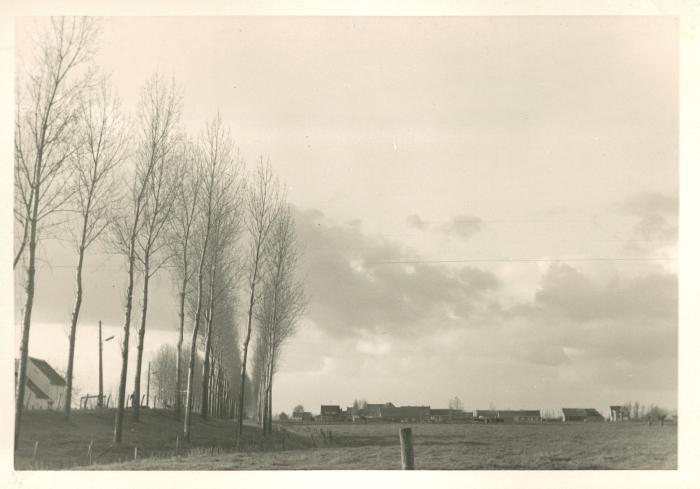 Zicht op de oude dijk vanaf de inrit naar Progil