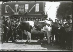 Veejaarmarkt in Burcht