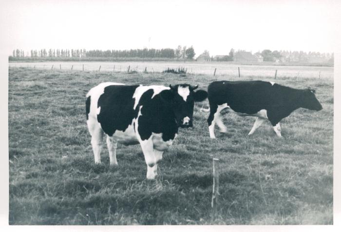 Achterste Oude Dijk met Polderbocht