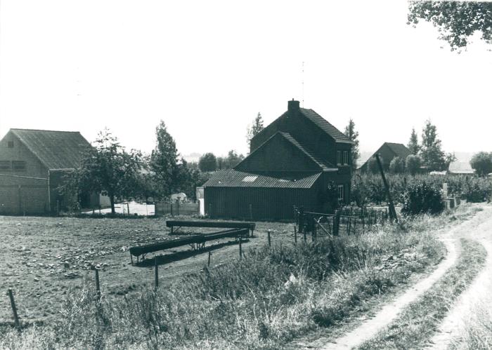 Beeld vanop Melseledijk richting Melsele, Kallo