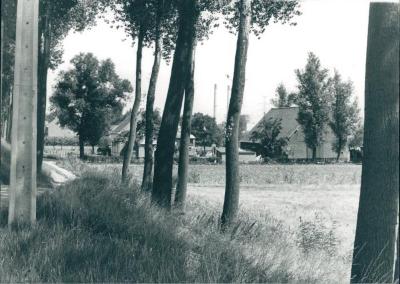 Foto vanop Melseledijk richting fort Sint-Marie