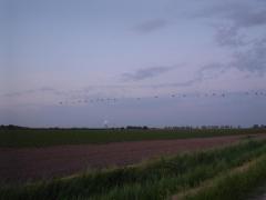 Zicht op de Prosperpolder