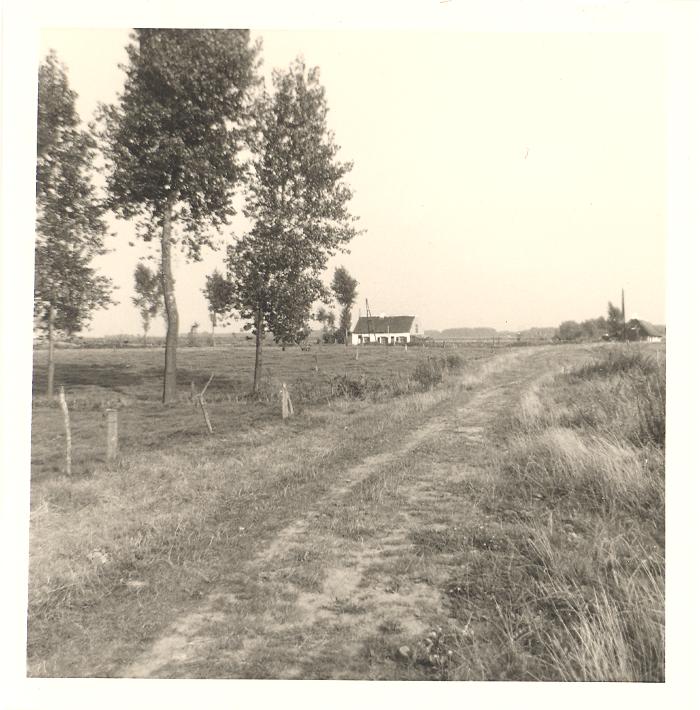 Woningen bij de Blokkersdijk