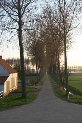 Zicht aan de Prosperpolder