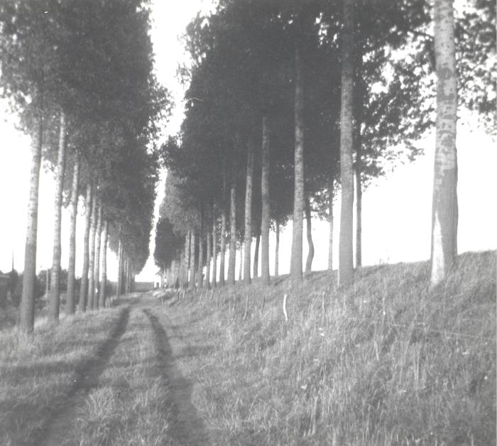 Verkortingsdijk in Doel