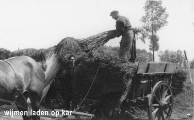 wijmenteelt