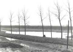 Waterplas bij Arenbergdijk